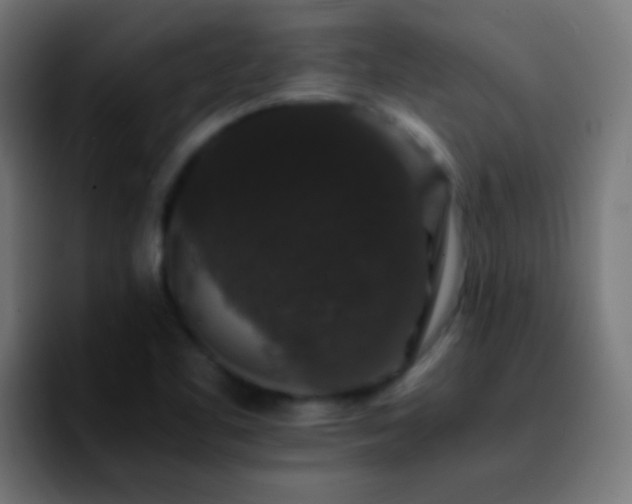 X0000092291461200709211204