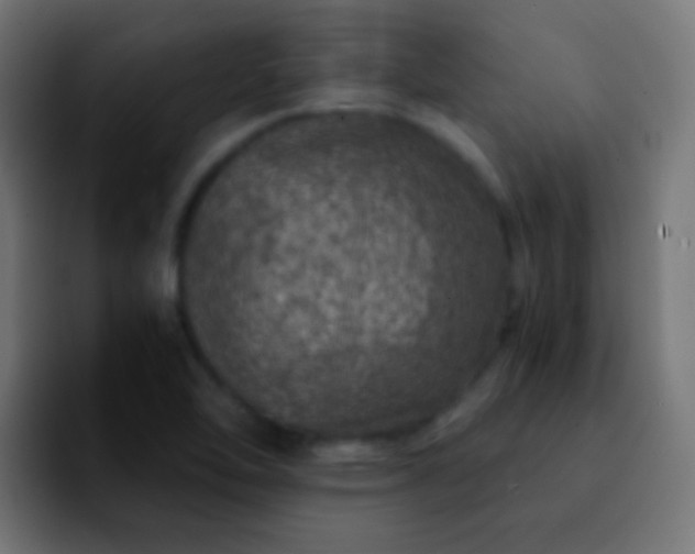 X0000092291462200709211204