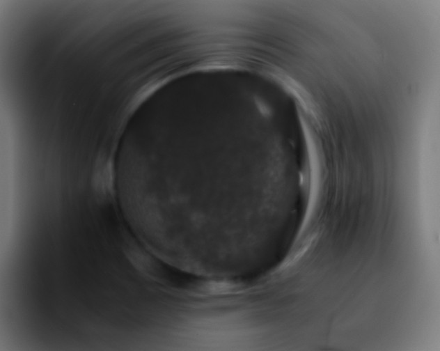 X0000092291465200709211204