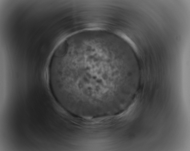 X0000092291467200709211204