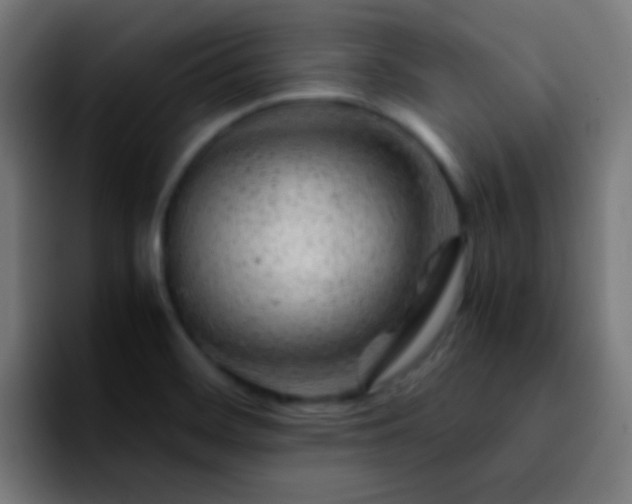 X0000092291468200709211204