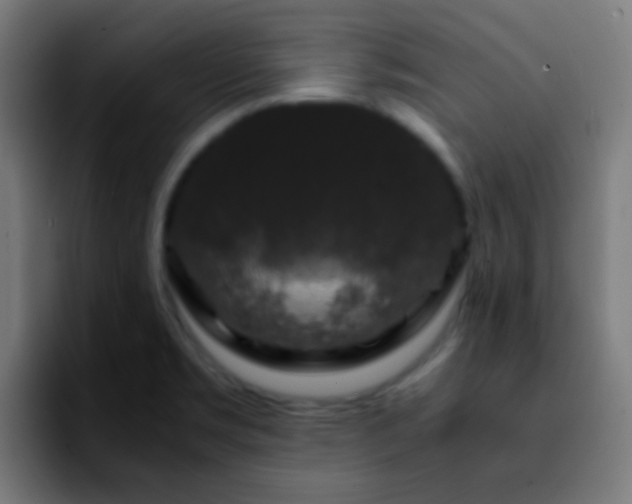 X0000092291469200709211204