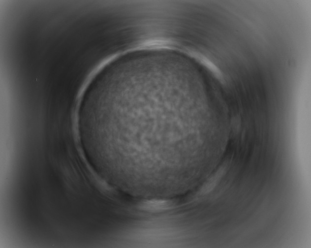 X0000092291470200709211204