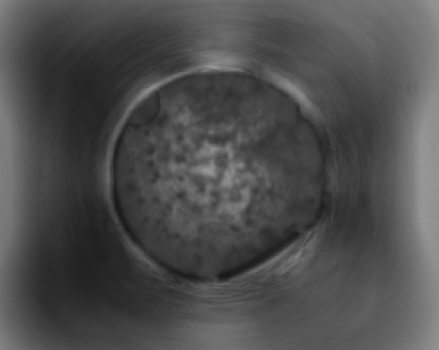 X0000092291471200709211204