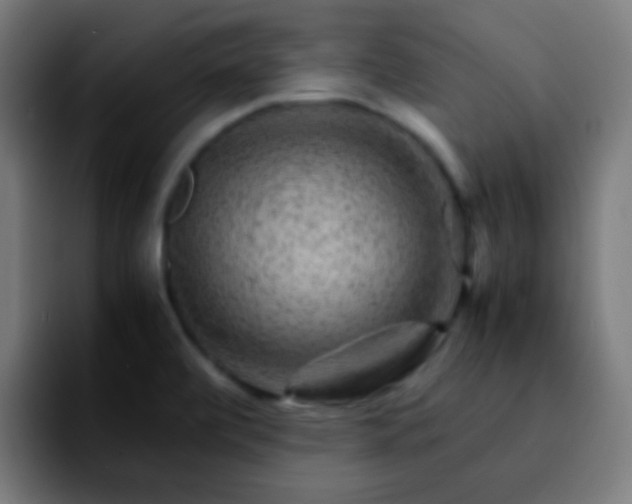 X0000092291472200709211204