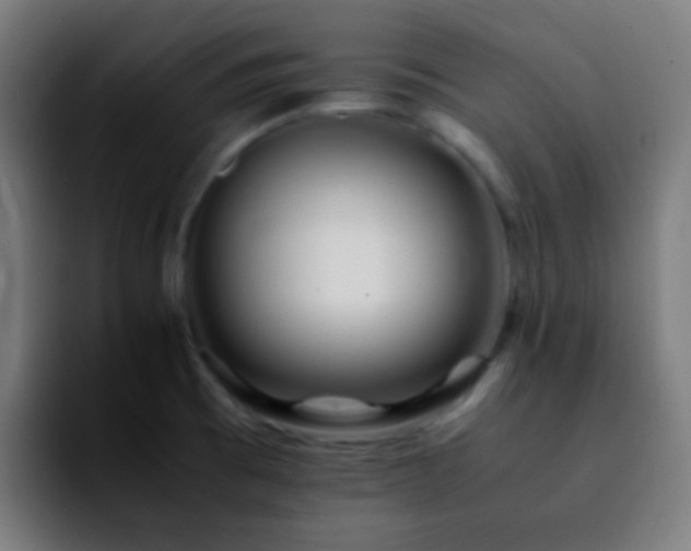 X0000092291473200709211204