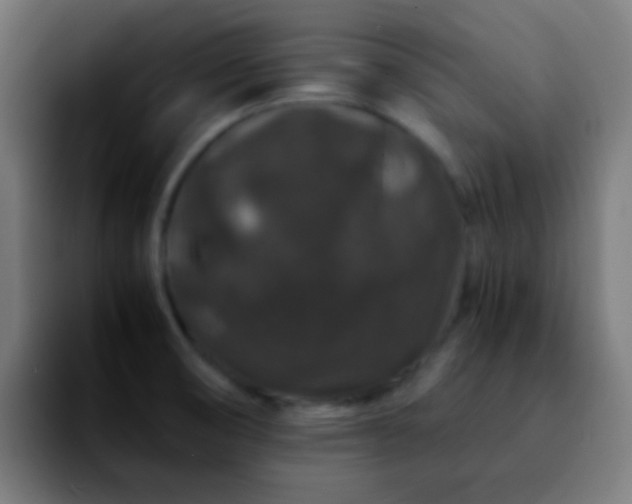 X0000092291474200709211204