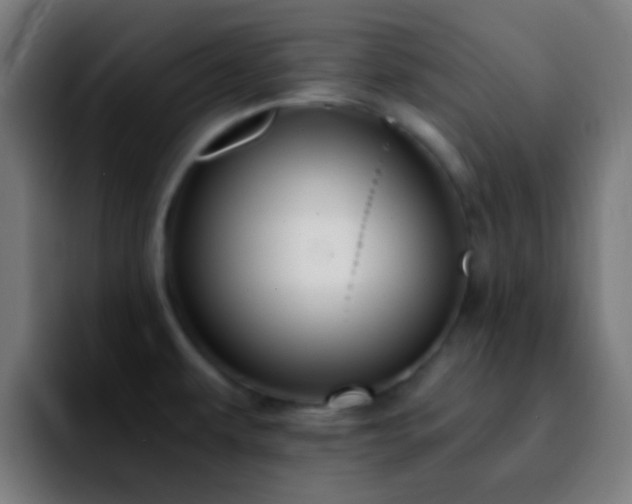 X0000092291479200709211204