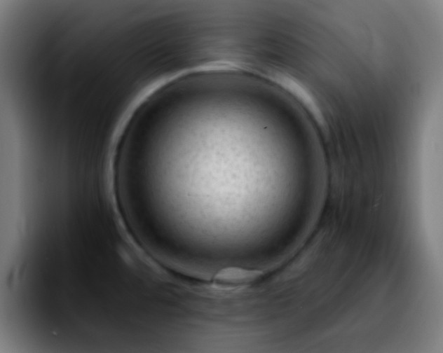 X0000092291480200709211204