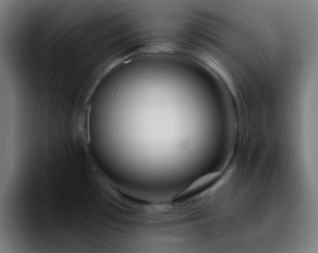 X0000092291481200709211204