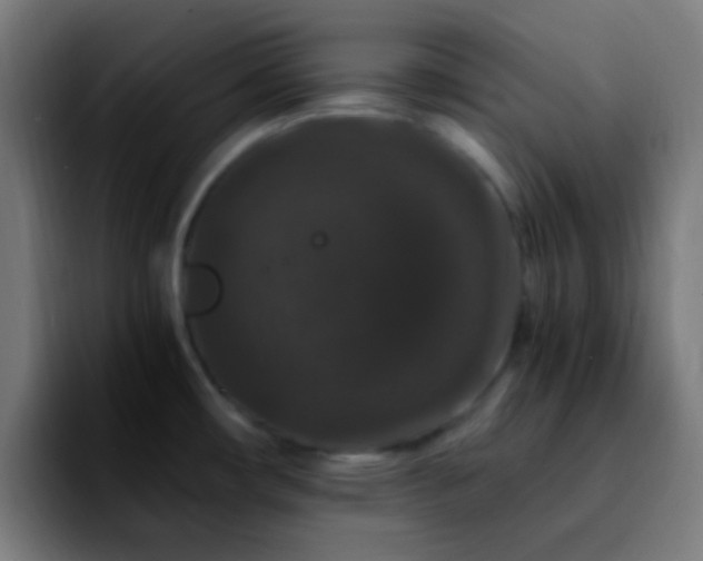 X0000092291482200709211204