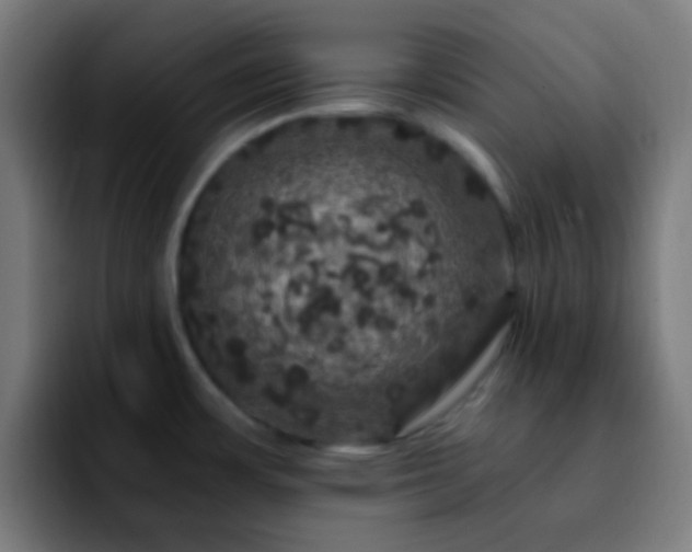 X0000092291483200709211204