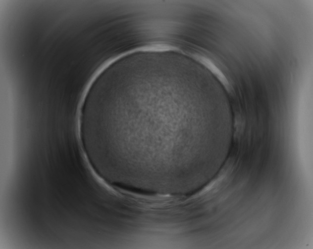 X0000092291484200709211204