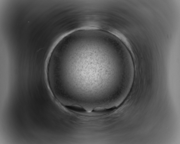 X0000092291488200709211204