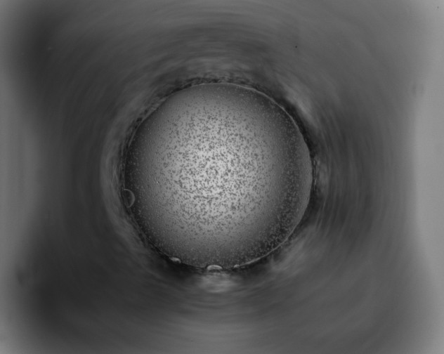 X0000092291489200709211204