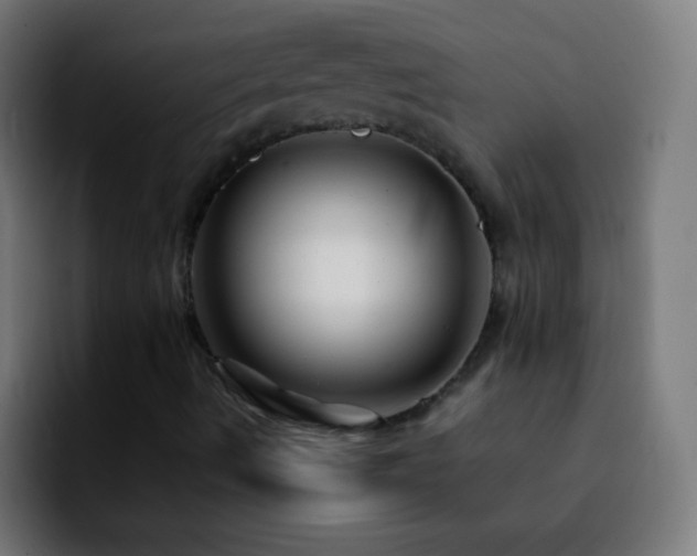 X0000092291490200709211204