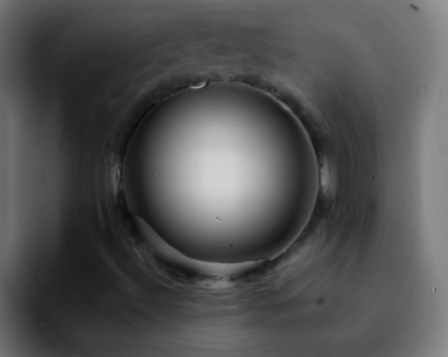 X0000092291492200709211204