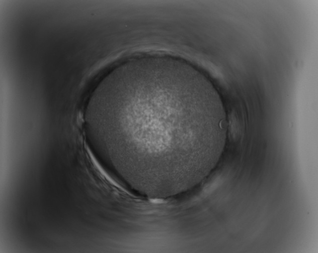 X0000092291494200709211204