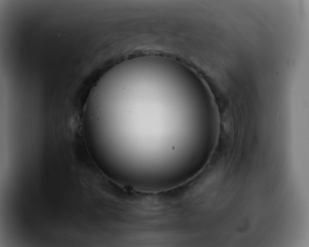 X0000092291495200709211204