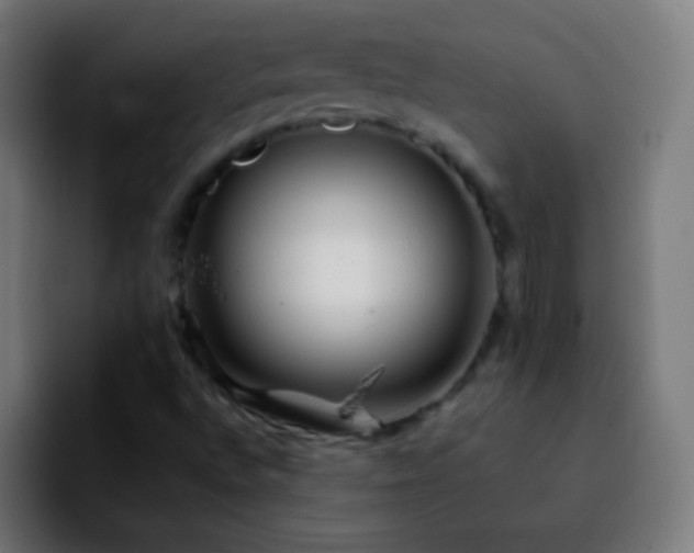 X0000092291496200709211204