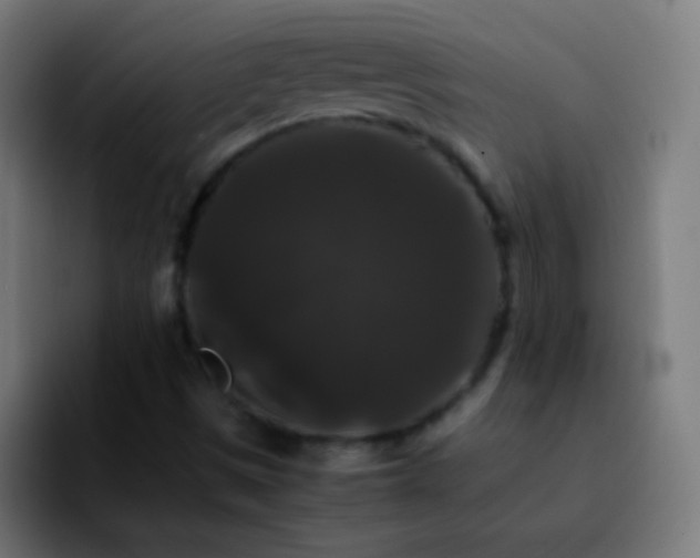 X0000092291497200709211204