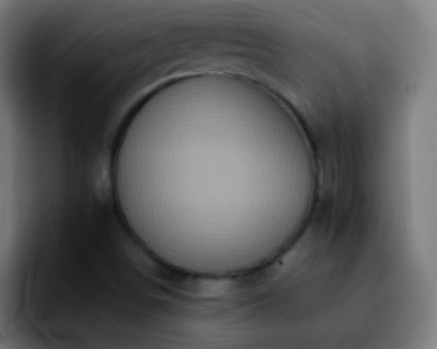 X0000092291498200709211204