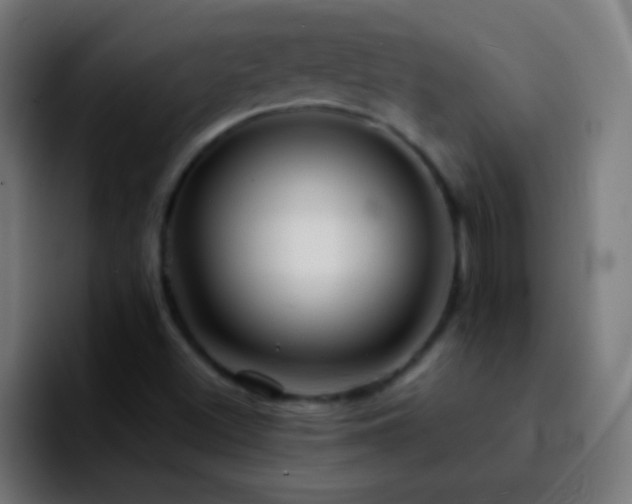 X0000092291500200709211204