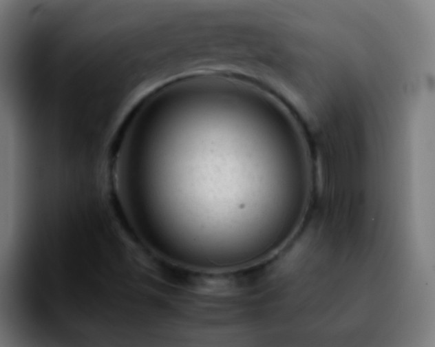 X0000092291501200709211204