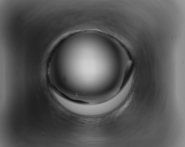 X0000092291502200709211204