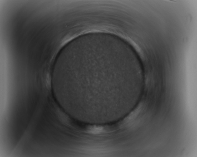 X0000092291505200709211204