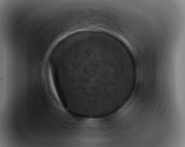 X0000092291506200709211204