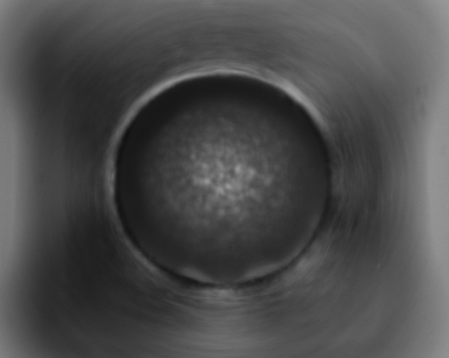 X0000092291508200709211204