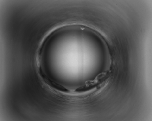 X0000092291510200709211204