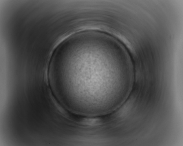 X0000092291513200709211204