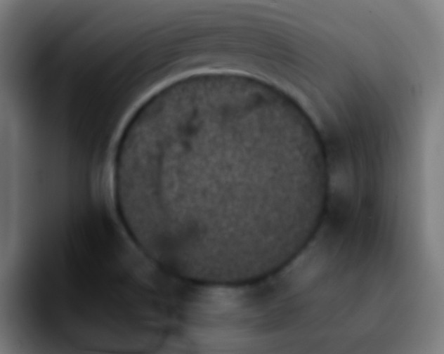 X0000092291514200709211204