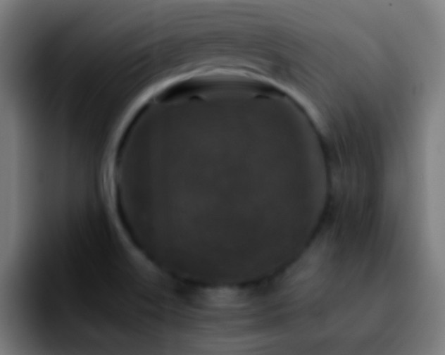 X0000092291515200709211204