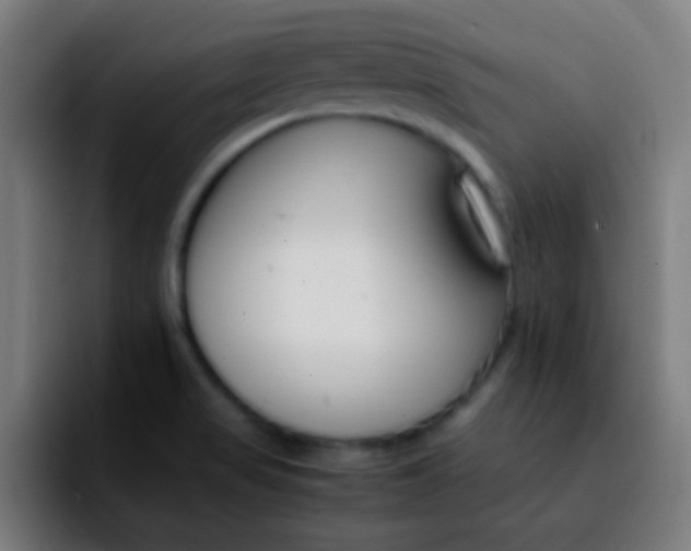 X0000092291517200709211204