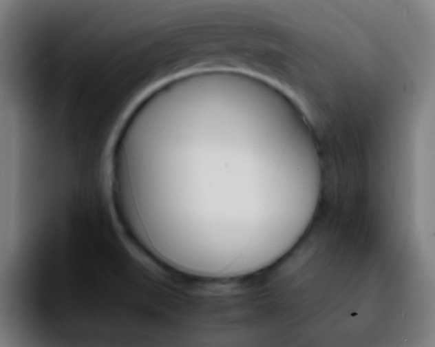 X0000092291519200709211204