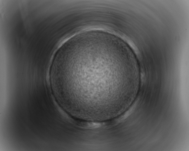 X0000092291521200709211204