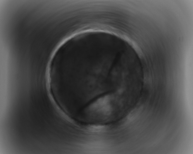 X0000092291522200709211204