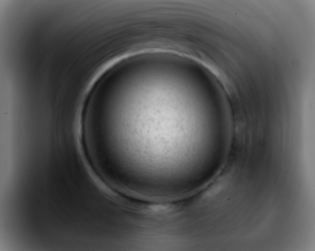 X0000092291523200709211204