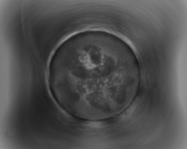 X0000092291525200709211204