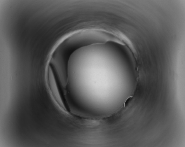 X0000092291528200709211204