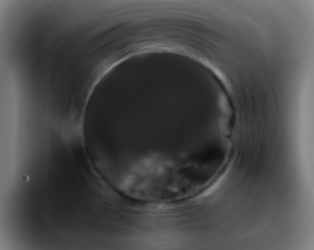 X0000092291529200709211204