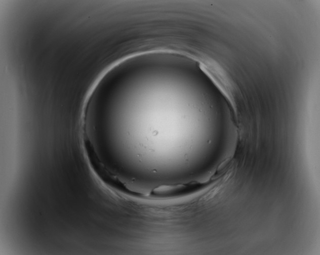 X0000092291532200709211204