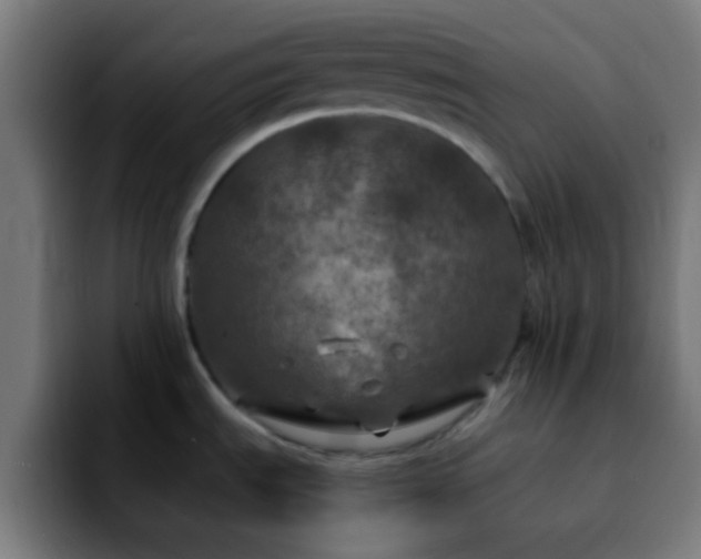 X0000092291535200709211204