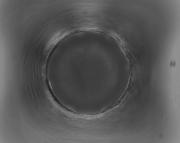 X0000092290002200709281315