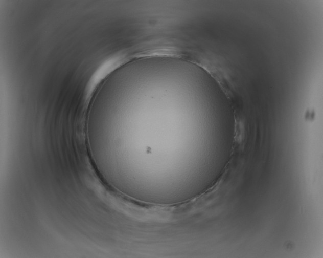 X0000092290004200709281315