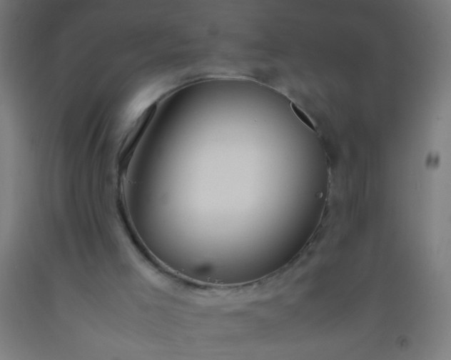 X0000092290005200709281315