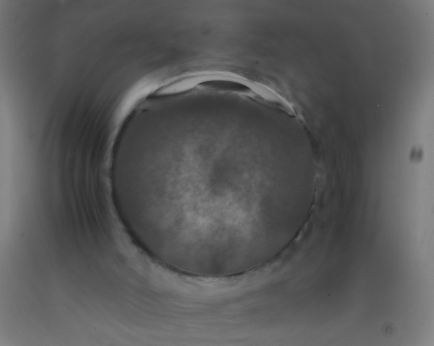 X0000092290006200709281315